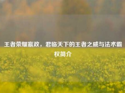 王者荣耀嬴政，君临天下的王者之威与法术霸权简介