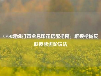 CSGO缠绕打击全息印花搭配指南，解锁枪械皮肤质感进阶玩法