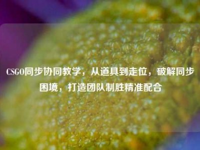 CSGO同步协同教学，从道具到走位，破解同步困境，打造团队制胜精准配合