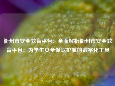 衢州市安全教育平台：全面解析衢州市安全教育平台：为学生安全保驾护航的数字化工具