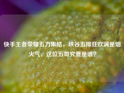 快手王者荣耀五力集结，峡谷五排狂欢满是烟火气，这位五哥究竟是谁？