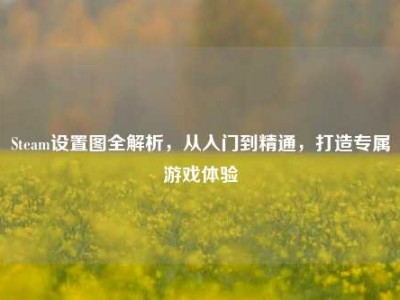 Steam设置图全解析，从入门到精通，打造专属游戏体验