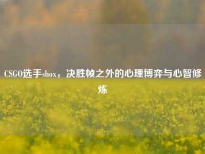 CSGO选手shox，决胜帧之外的心理博弈与心智修炼