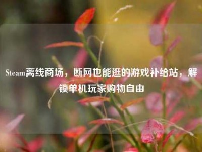 Steam离线商场，断网也能逛的游戏补给站，解锁单机玩家购物自由