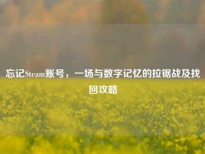 忘记Steam账号，一场与数字记忆的拉锯战及找回攻略