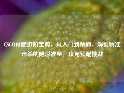 CSGO预瞄进阶宝典，从入门到精通，解锁精准击杀的隐形准星，攻克预瞄挑战