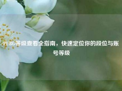 PUBG等级查看全指南，快速定位你的段位与账号等级