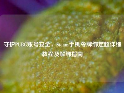 守护PUBG账号安全，Steam手机令牌绑定超详细教程及解绑指南