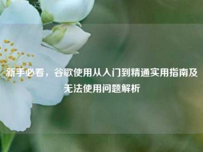 新手必看，谷歌使用从入门到精通实用指南及无法使用问题解析