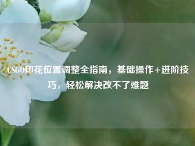CSGO印花位置调整全指南，基础操作+进阶技巧，轻松解决改不了难题