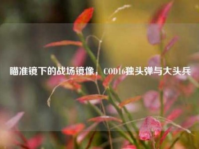瞄准镜下的战场镜像，COD16独头弹与大头兵