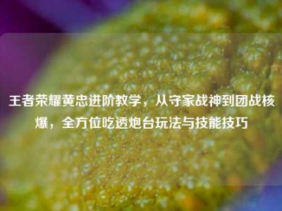 王者荣耀黄忠进阶教学，从守家战神到团战核爆，全方位吃透炮台玩法与技能技巧