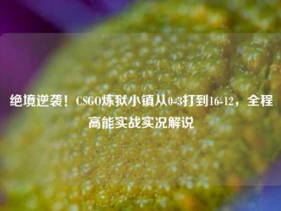 绝境逆袭！CSGO炼狱小镇从0-3打到16-12，全程高能实战实况解说