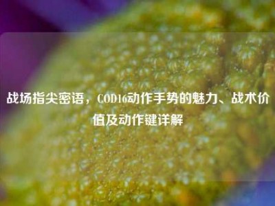 战场指尖密语，COD16动作手势的魅力、战术价值及动作键详解