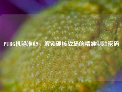 PUBG机瞄准心，解锁硬核战场的精准制胜密码