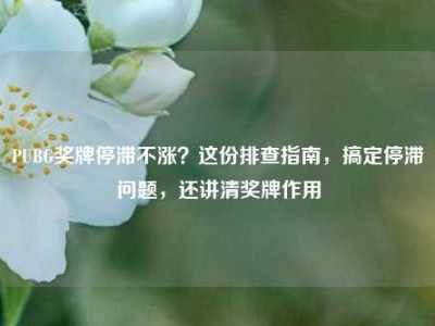 PUBG奖牌停滞不涨？这份排查指南，搞定停滞问题，还讲清奖牌作用