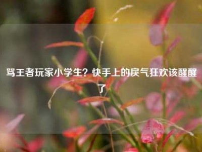 骂王者玩家小学生？快手上的戾气狂欢该醒醒了