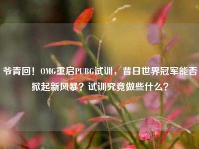 爷青回！OMG重启PUBG试训，昔日世界冠军能否掀起新风暴？试训究竟做些什么？