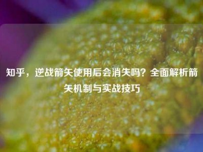 知乎，逆战箭矢使用后会消失吗？全面解析箭矢机制与实战技巧