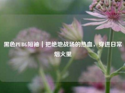 黑色PUBG短袖｜把绝地战场的热血，穿进日常烟火里