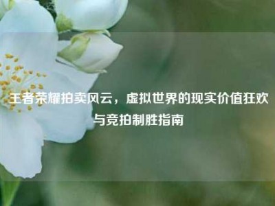 王者荣耀拍卖风云，虚拟世界的现实价值狂欢与竞拍制胜指南