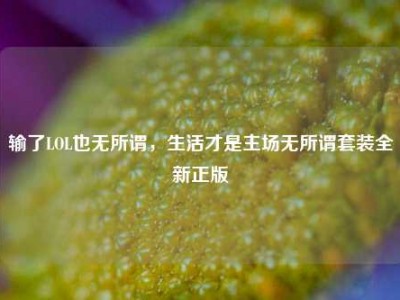输了LOL也无所谓，生活才是主场无所谓套装全新正版