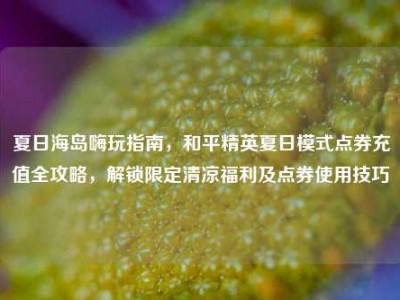 夏日海岛嗨玩指南，和平精英夏日模式点券充值全攻略，解锁限定清凉福利及点券使用技巧