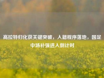 高拉特归化获关键突破，入籍程序落地，国足中场补强进入倒计时