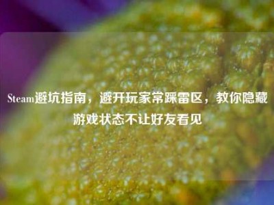 Steam避坑指南，避开玩家常踩雷区，教你隐藏游戏状态不让好友看见
