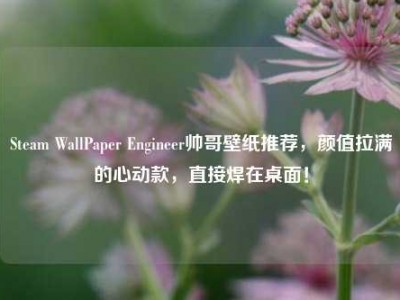 Steam WallPaper Engineer帅哥壁纸推荐，颜值拉满的心动款，直接焊在桌面！