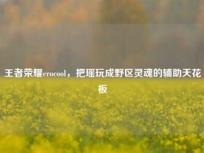 王者荣耀erocool，把瑶玩成野区灵魂的辅助天花板