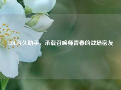 LOL游久助手，承载召唤师青春的战场密友