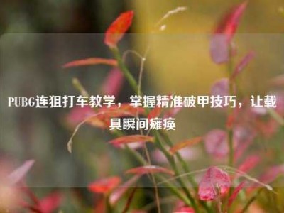 PUBG连狙打车教学，掌握精准破甲技巧，让载具瞬间瘫痪
