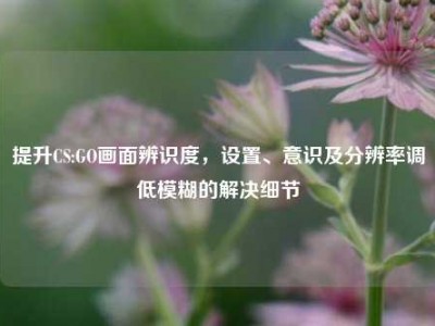 提升CS:GO画面辨识度，设置、意识及分辨率调低模糊的解决细节
