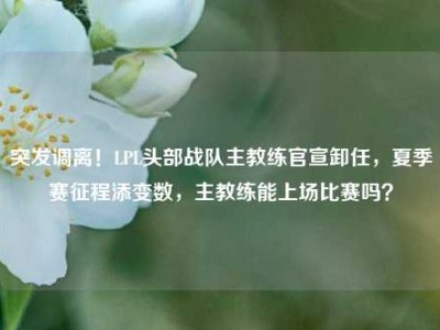 突发调离！LPL头部战队主教练官宣卸任，夏季赛征程添变数，主教练能上场比赛吗？