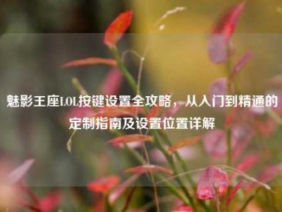 魅影王座LOL按键设置全攻略，从入门到精通的定制指南及设置位置详解