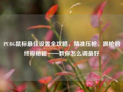 PUBG鼠标最佳设置全攻略，精准压枪、跟枪的终极秘籍——教你怎么调最好