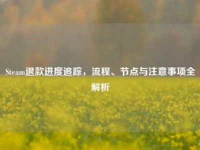 Steam退款进度追踪，流程、节点与注意事项全解析