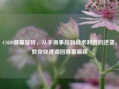 CSGO屏幕旋转，从手滑事故到战术利器的逆袭，教你快速调回屏幕偏移