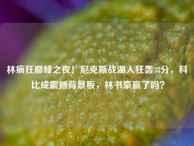 林疯狂巅峰之夜！尼克斯战湖人狂轰38分，科比成震撼背景板，林书豪赢了吗？