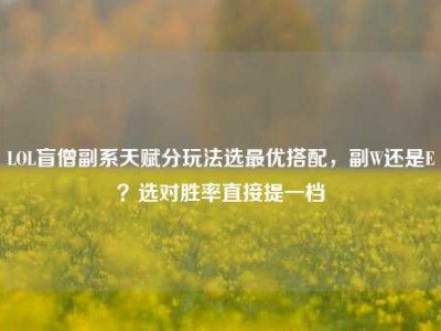 LOL盲僧副系天赋分玩法选最优搭配，副W还是E？选对胜率直接提一档