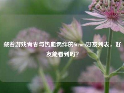 藏着游戏青春与热血羁绊的Steam好友列表，好友能看到吗？