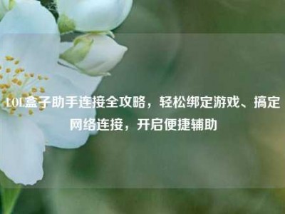 LOL盒子助手连接全攻略，轻松绑定游戏、搞定网络连接，开启便捷辅助