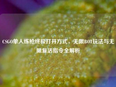 CSGO单人练枪终极打开方式，无限BOT玩法与无限复活指令全解析