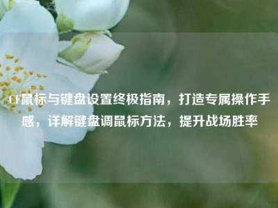 CF鼠标与键盘设置终极指南，打造专属操作手感，详解键盘调鼠标方法，提升战场胜率