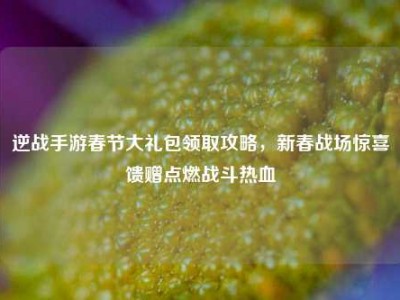 逆战手游春节大礼包领取攻略，新春战场惊喜馈赠点燃战斗热血