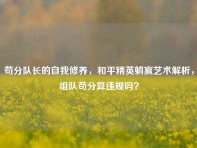 苟分队长的自我修养，和平精英躺赢艺术解析，组队苟分算违规吗？
