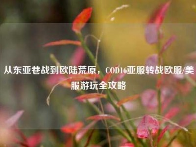 从东亚巷战到欧陆荒原，COD16亚服转战欧服/美服游玩全攻略