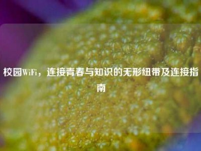 校园WiFi，连接青春与知识的无形纽带及连接指南
