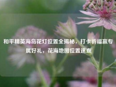 和平精英海岛花灯位置全揭秘，打卡祈福赢专属好礼，花海地图位置速查